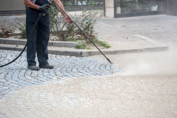 Best Restaurant Pressure Washing  in Sealy, TX